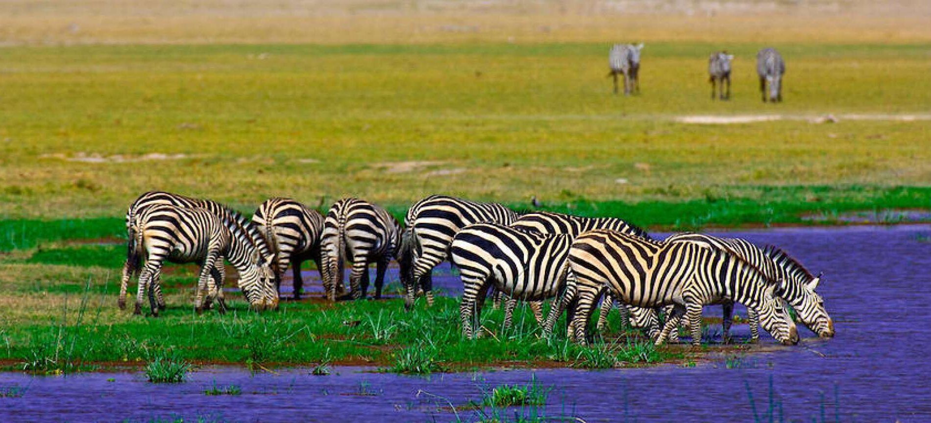 Amboseli