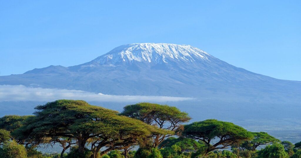 Kilimanjaro