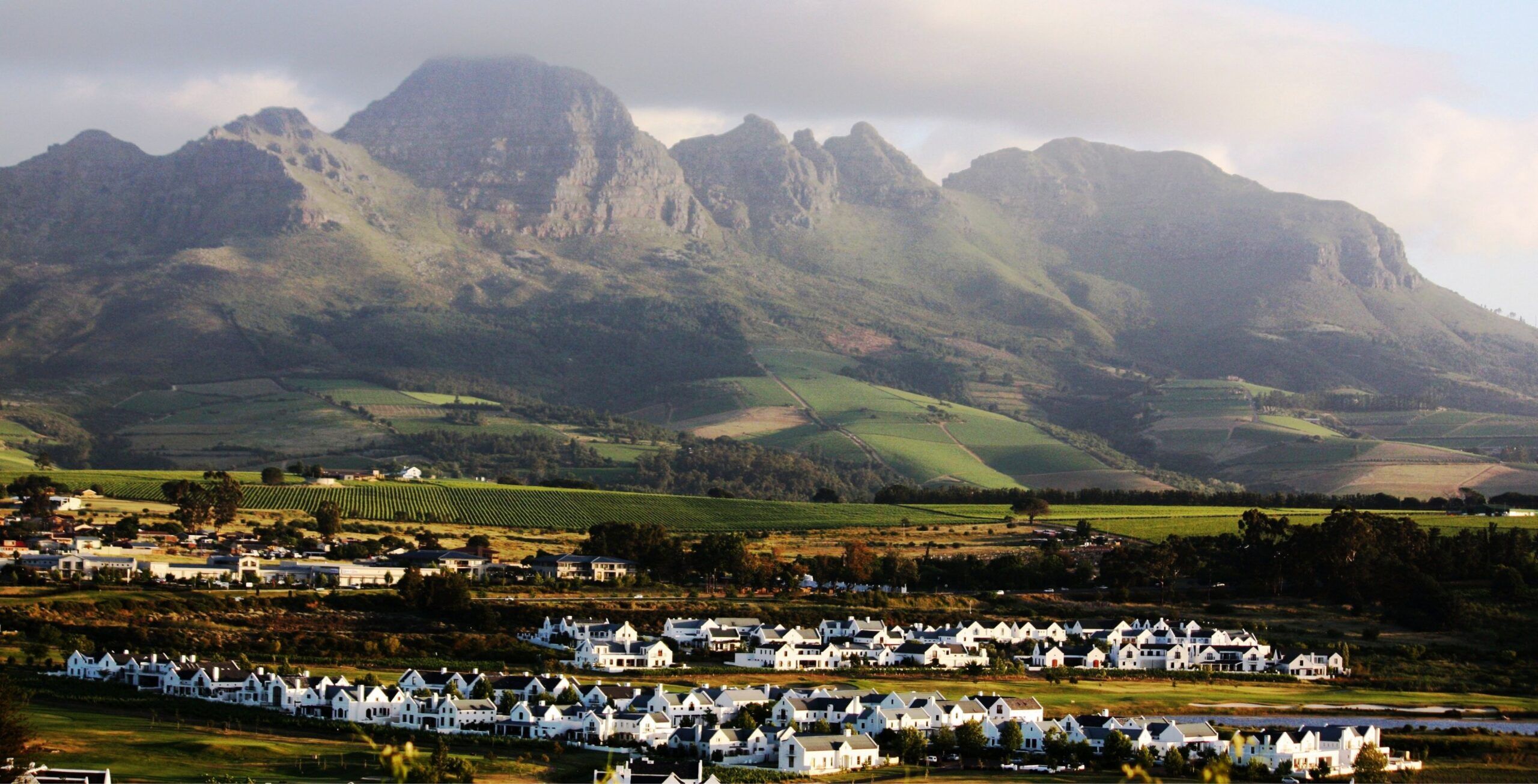 Rit van Hermanus naar Stellenbosch