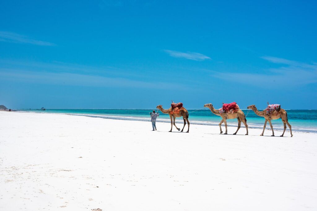 beach Mombasa