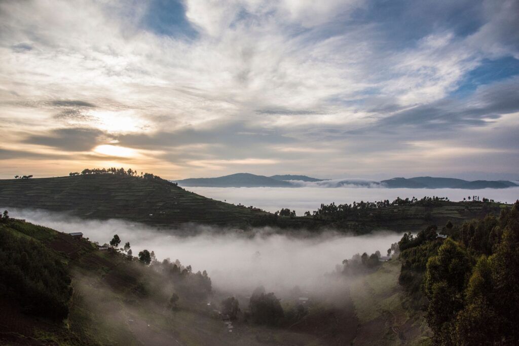 Bwindi Impenetrable National Park