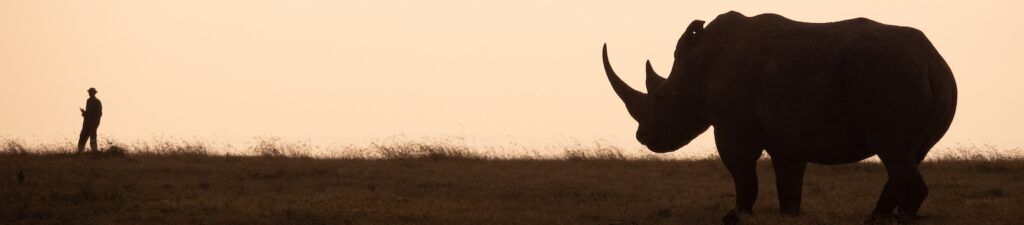 Neushoorn Ol'Pejeta Conservancy