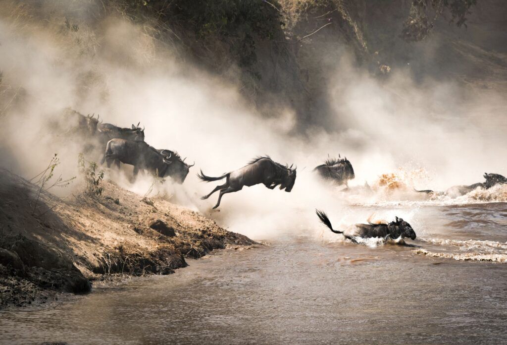 grote trek masai mara