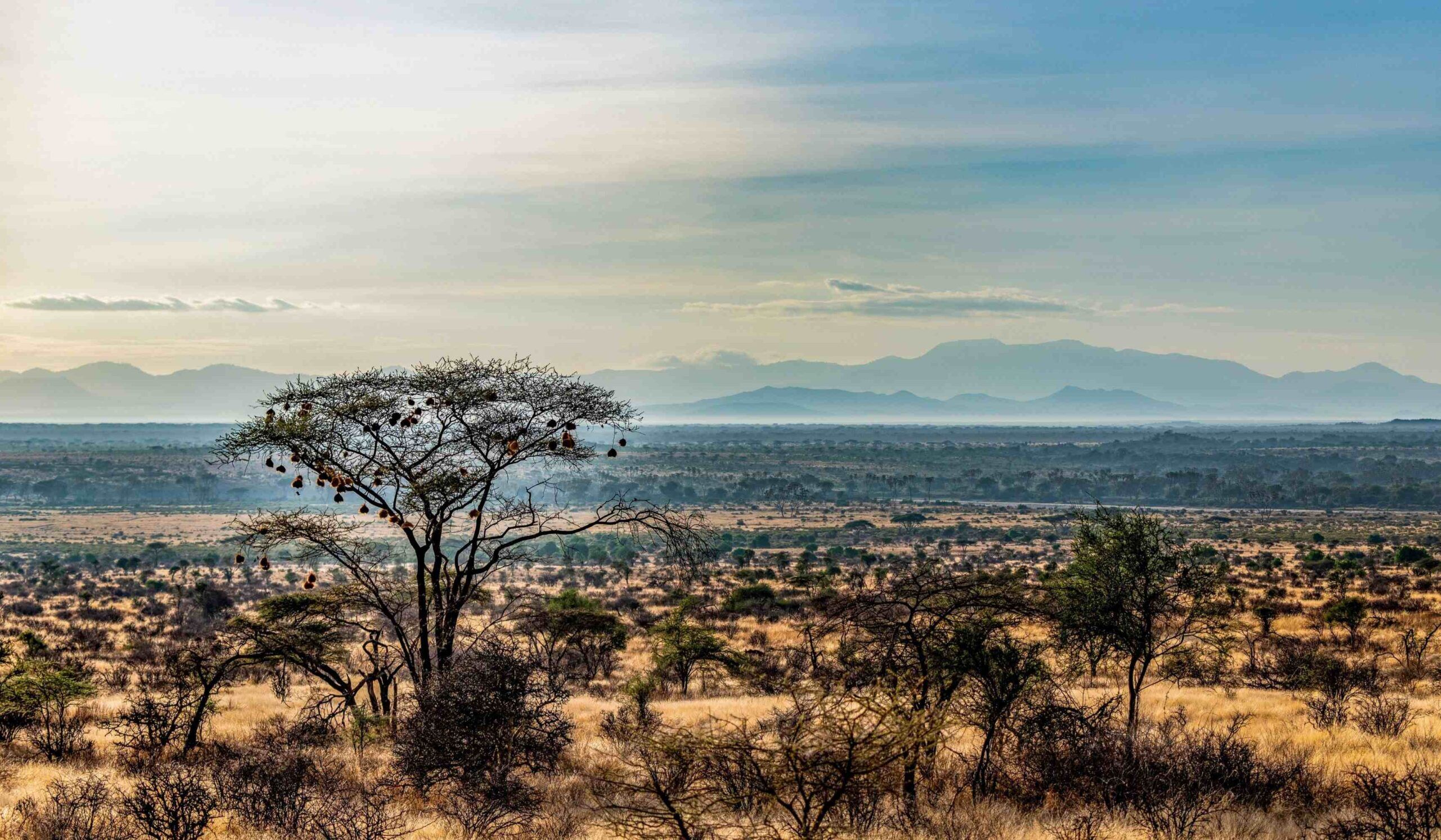 Samburu National Reserve