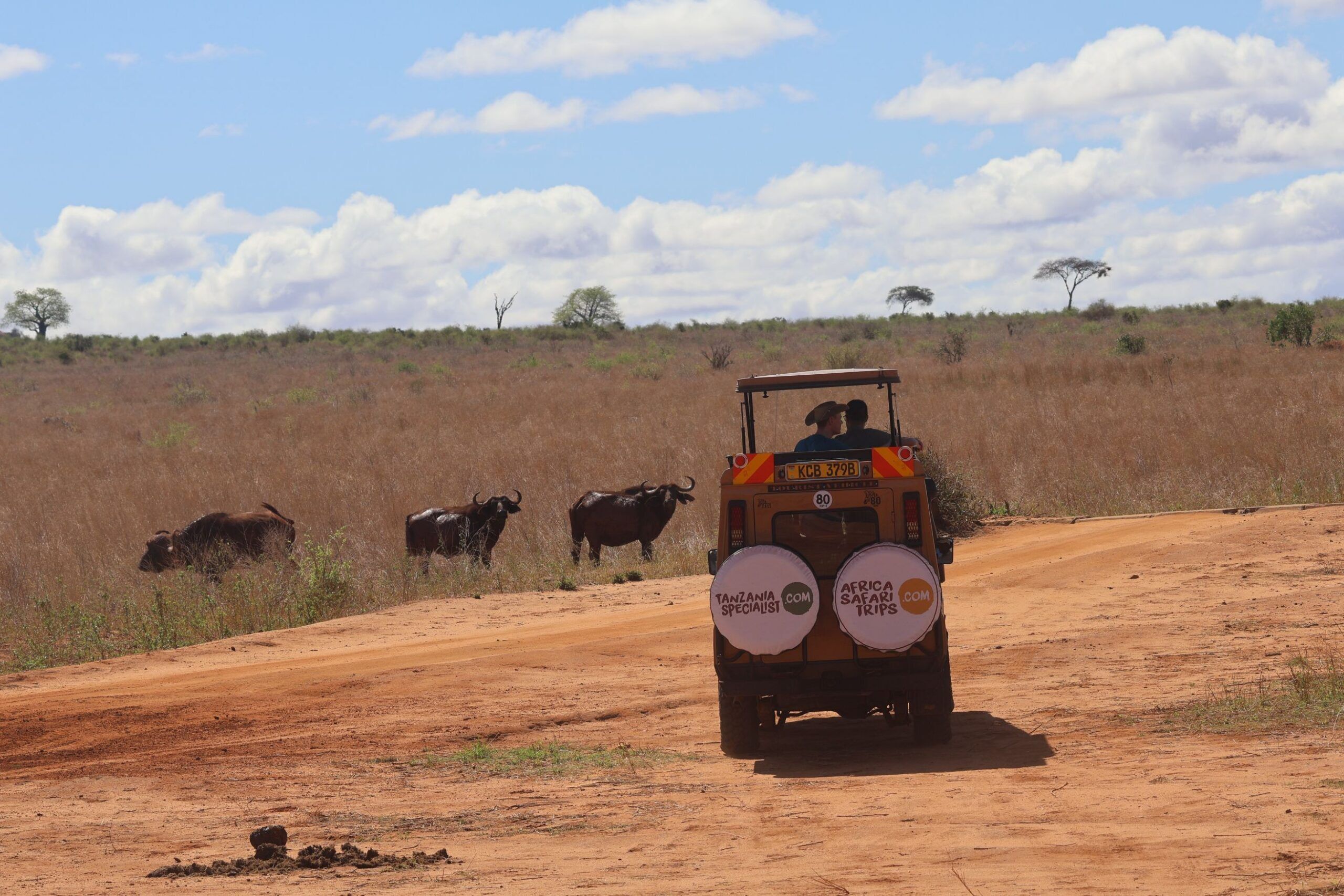 Rit van Tsavo West National Park naar Tsavo East National Park