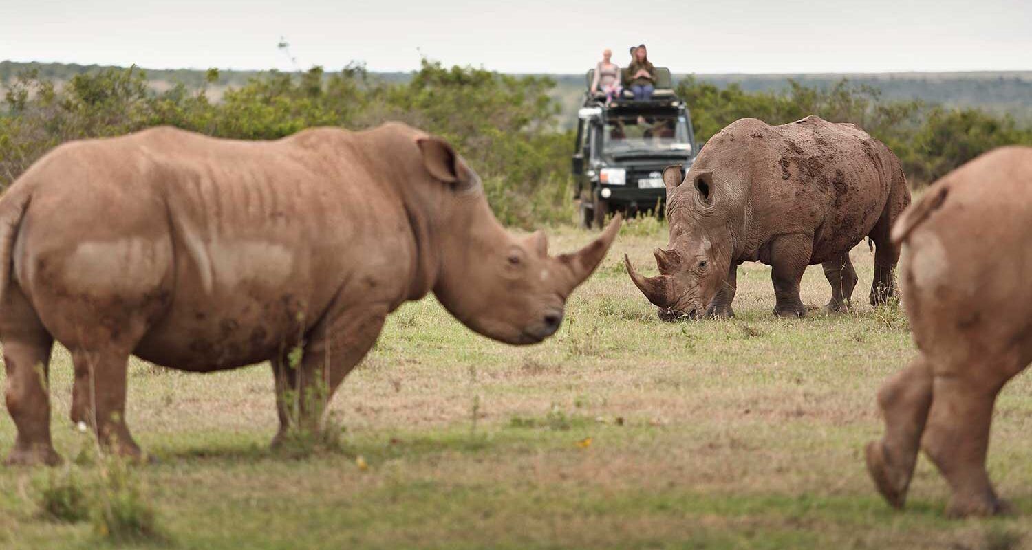 Solio Game Reserve