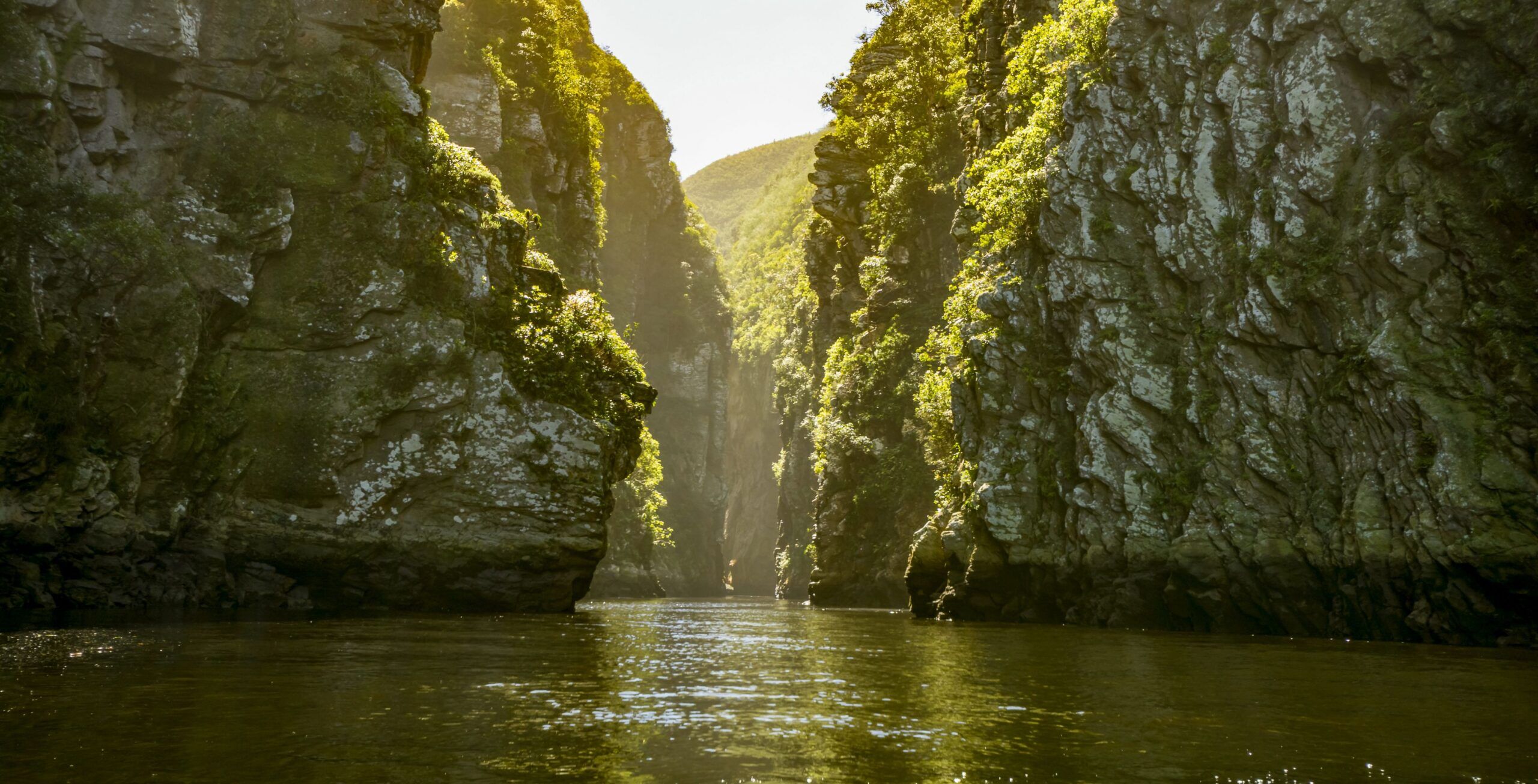 Tsitsikamma National Park