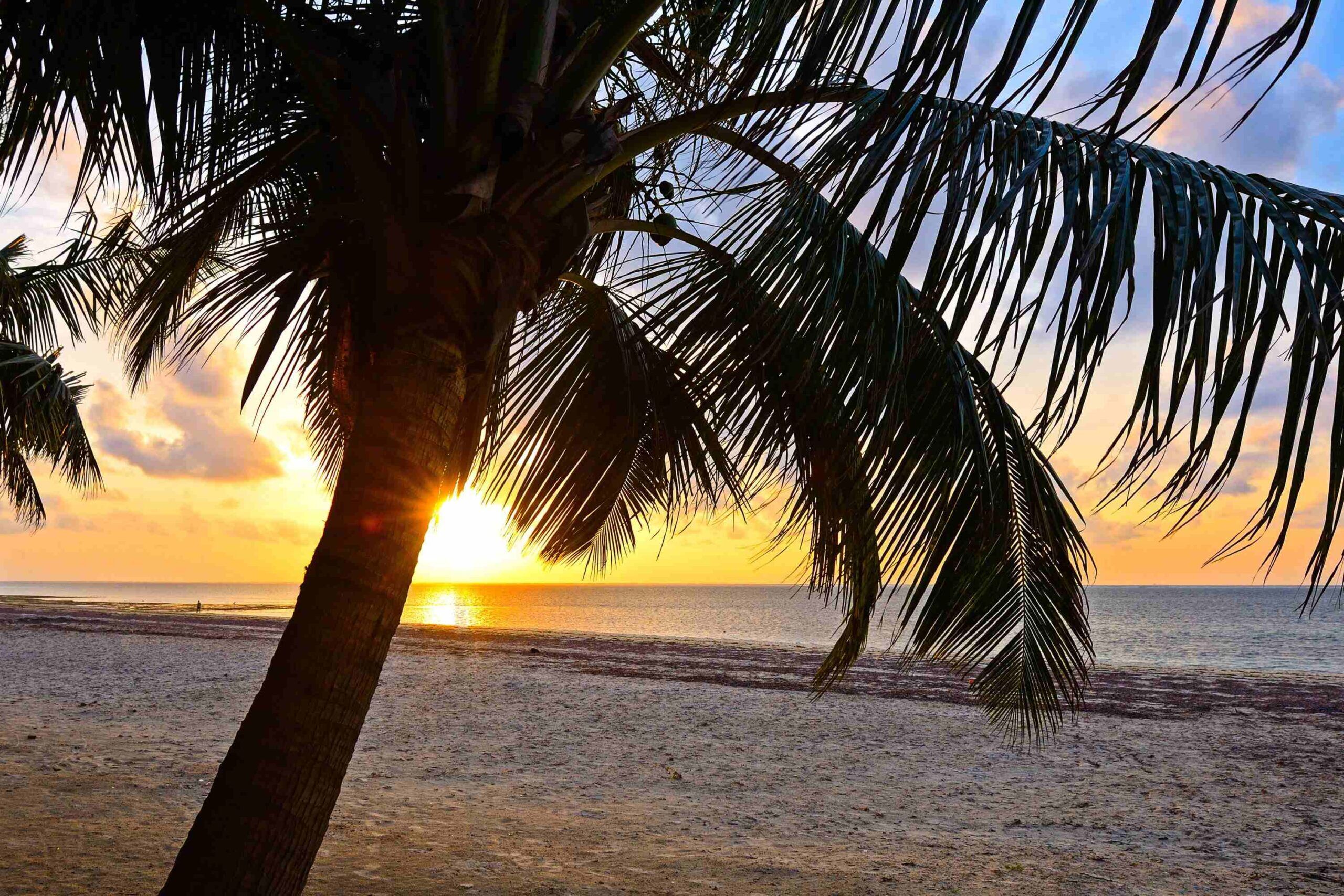 Zonsondergang Diani Beach