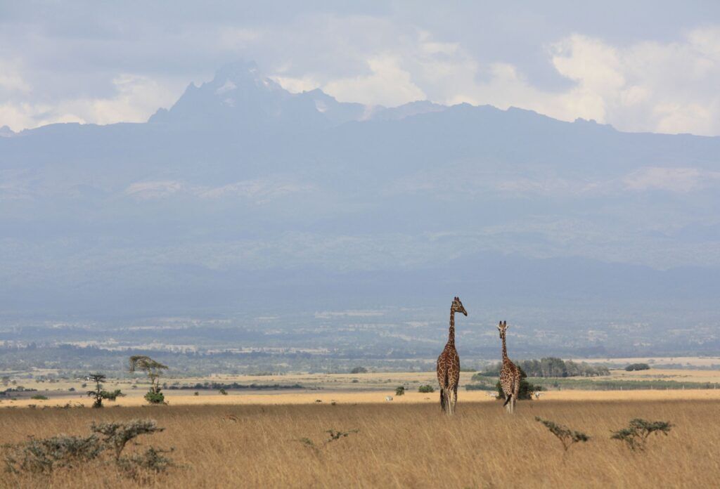 Mount Kenya en Aberdare