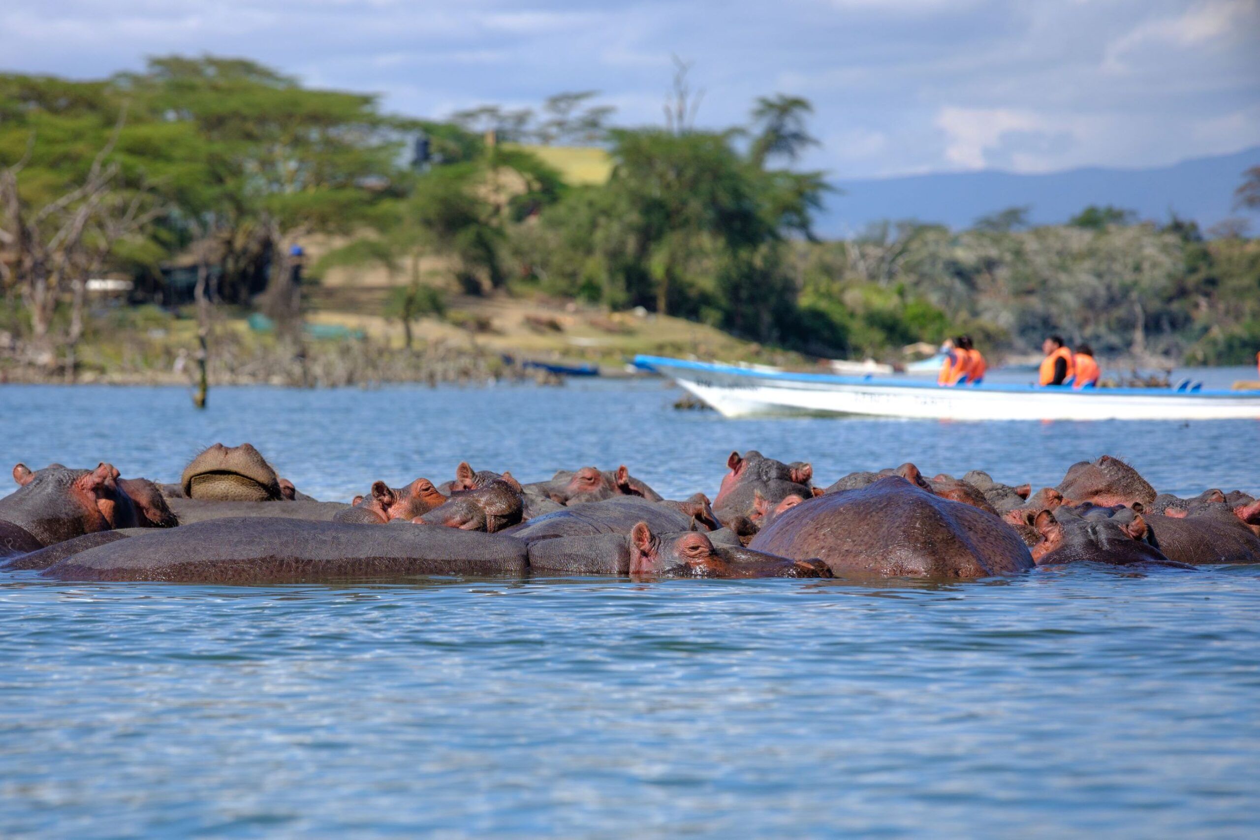 Boottocht op Lake Naivasha en wandelsafari op Crescent Island