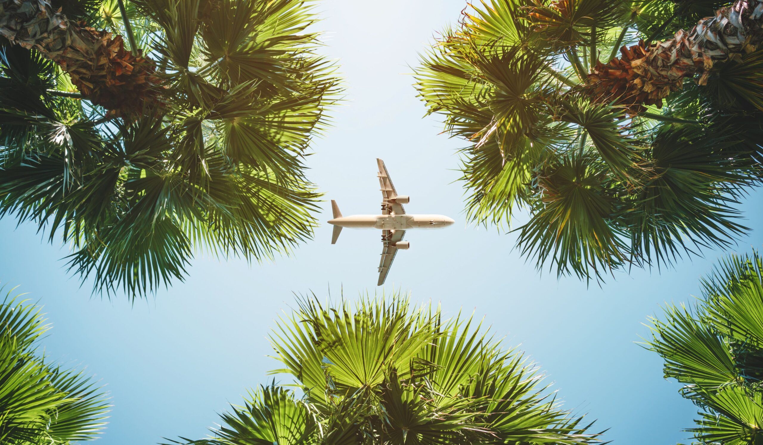 Vlucht naar Diani Beach (bij de prijs inbegrepen)