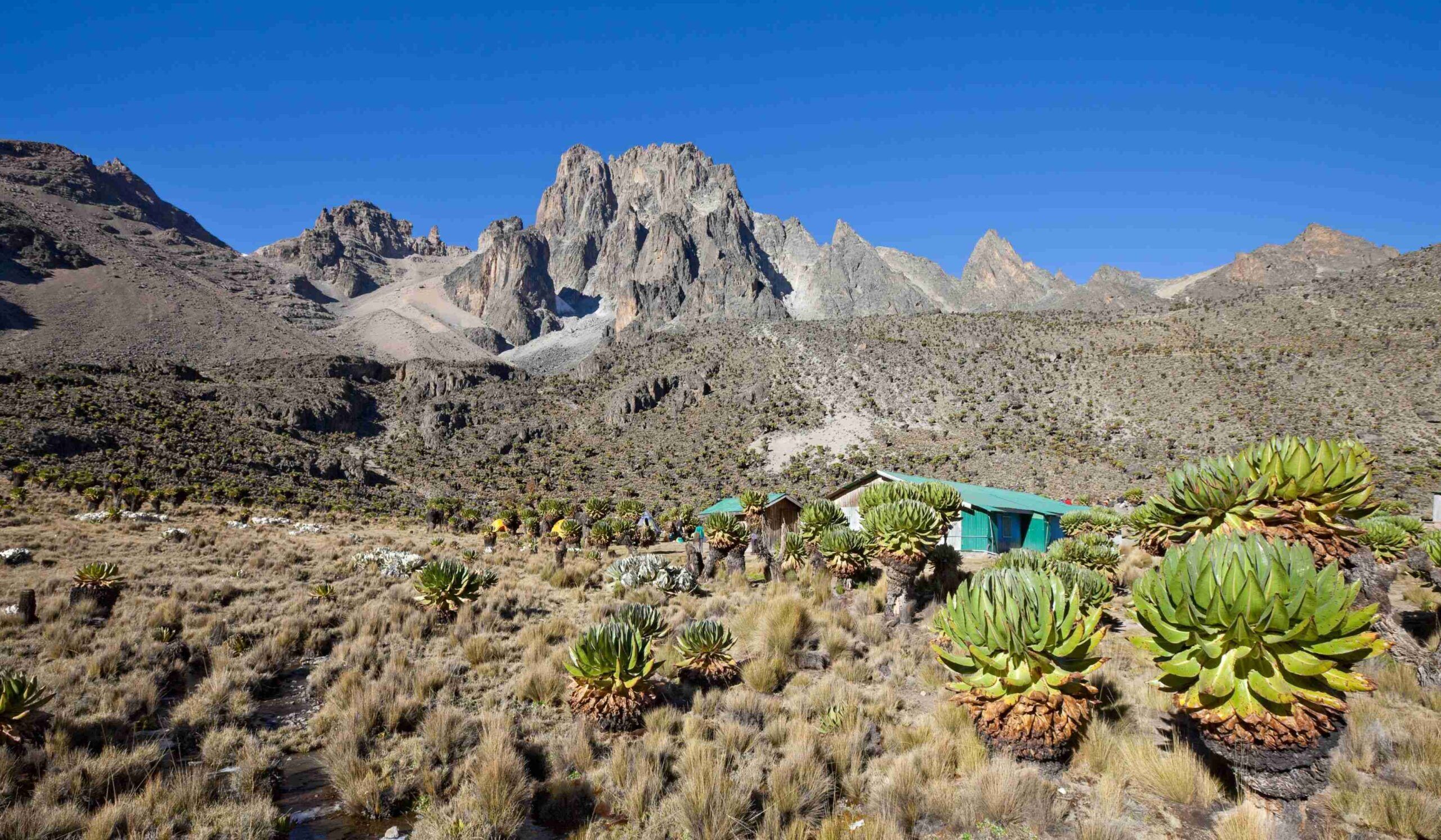 Sirimon Route 5 dagen, dag 3: Acclimatiseringsdag in het Shipton's Camp (4200m)