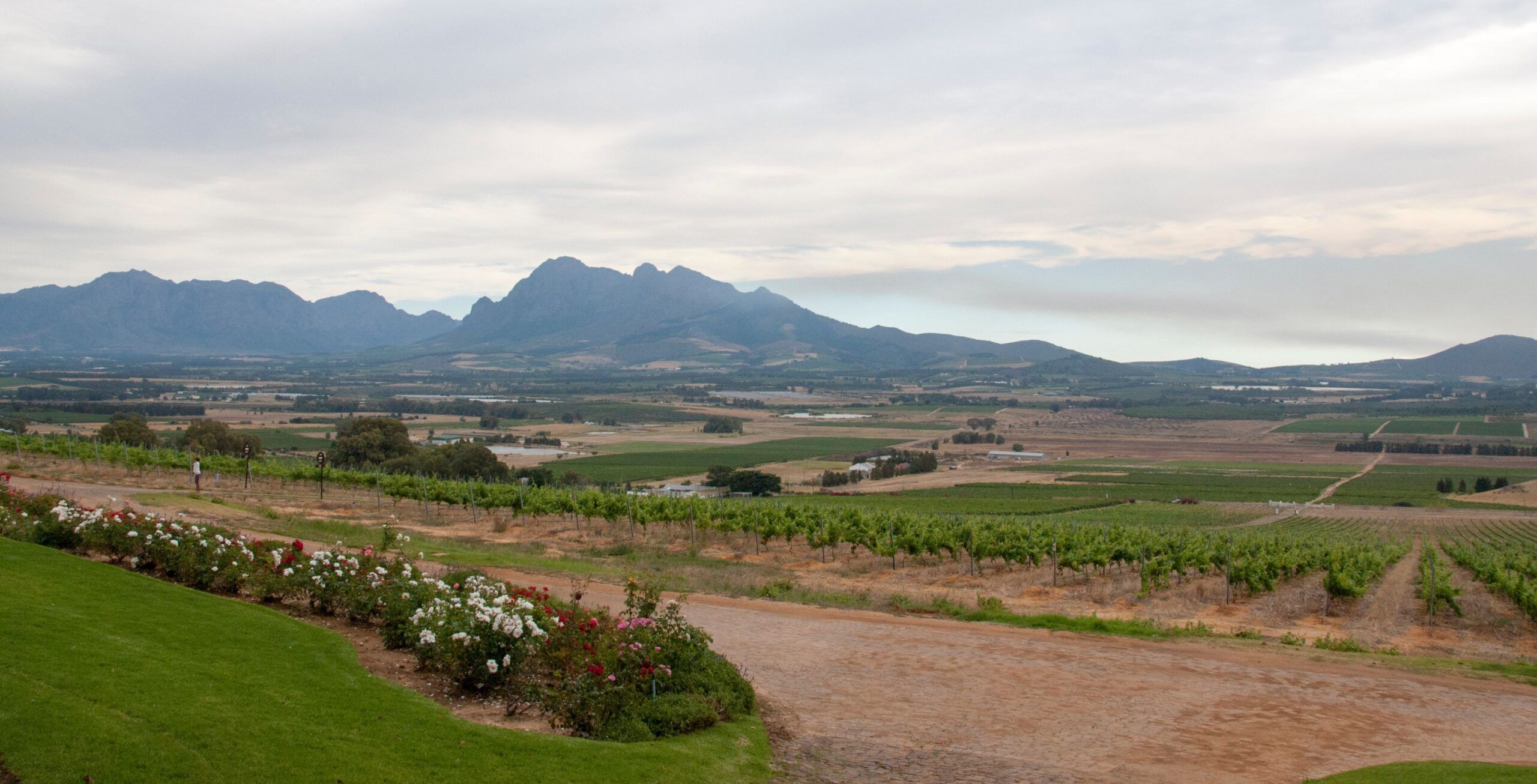 Paarl