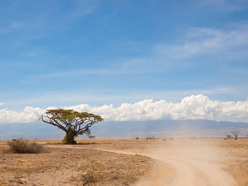 Rit naar het Masai Mara National Reserve naar een accommodatie buiten het park