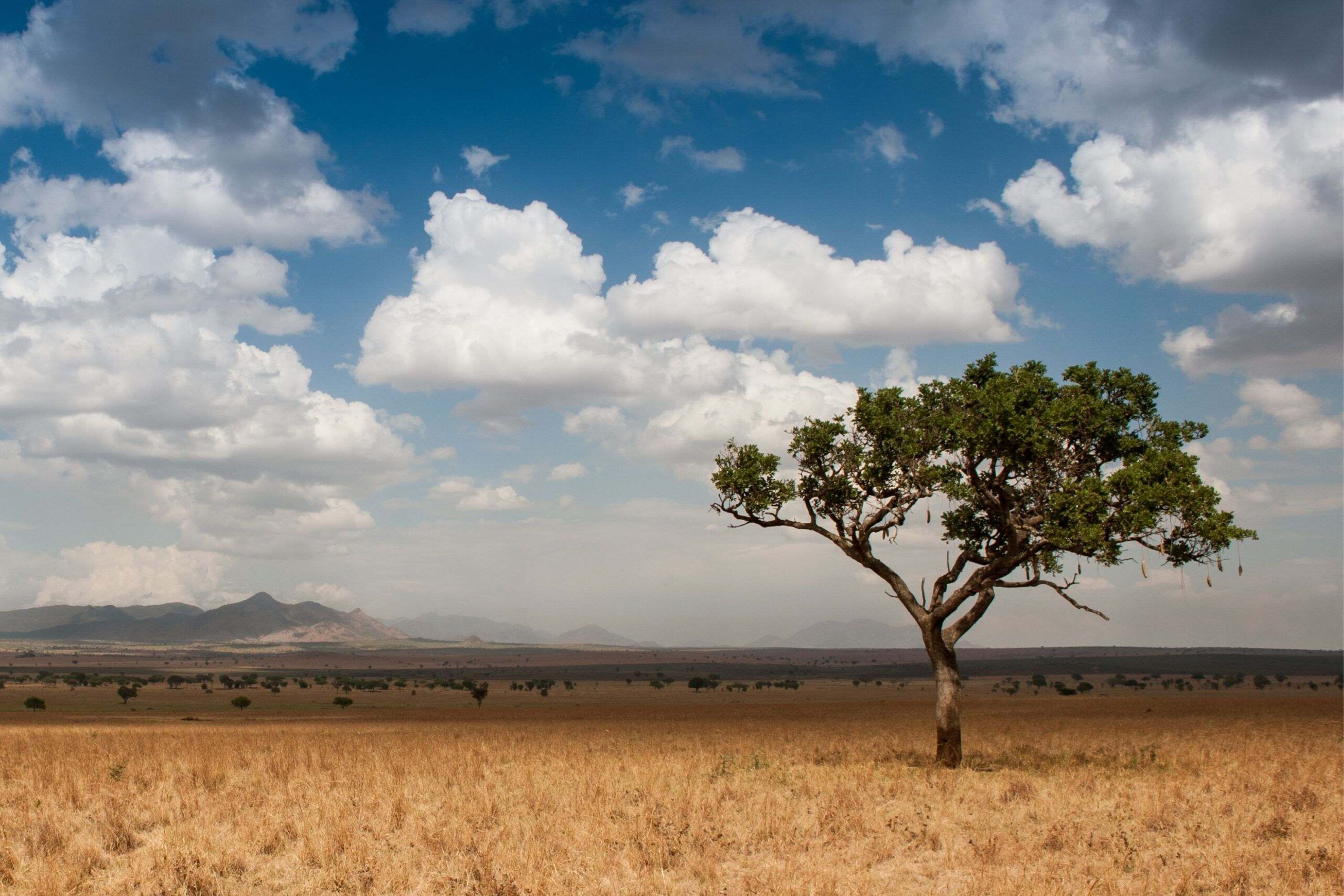 Kidepo Valley National Park