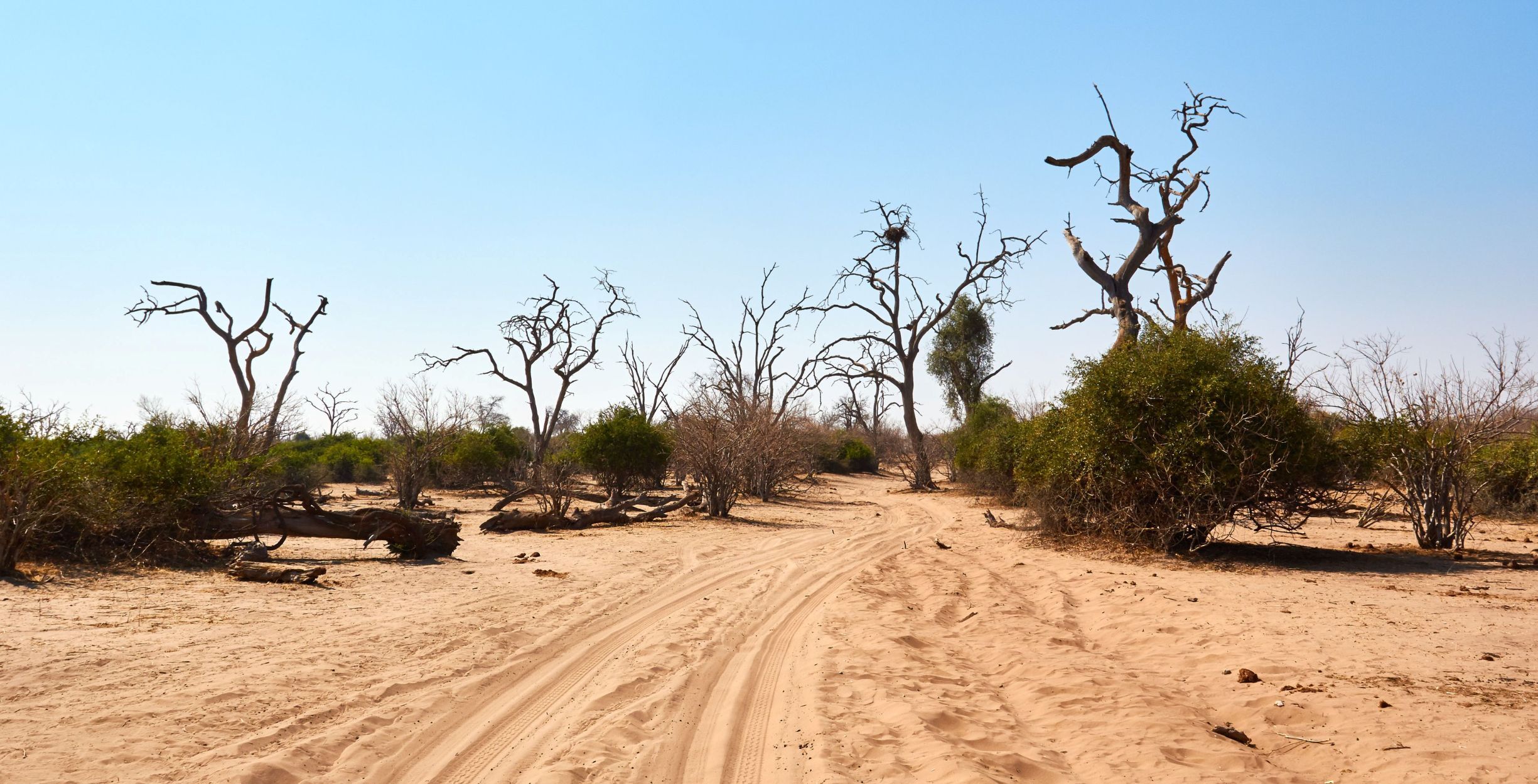 Drive from Savuti Marsh to Chobe Riverfront
