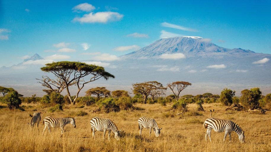 Amboseli Kilimanjaro