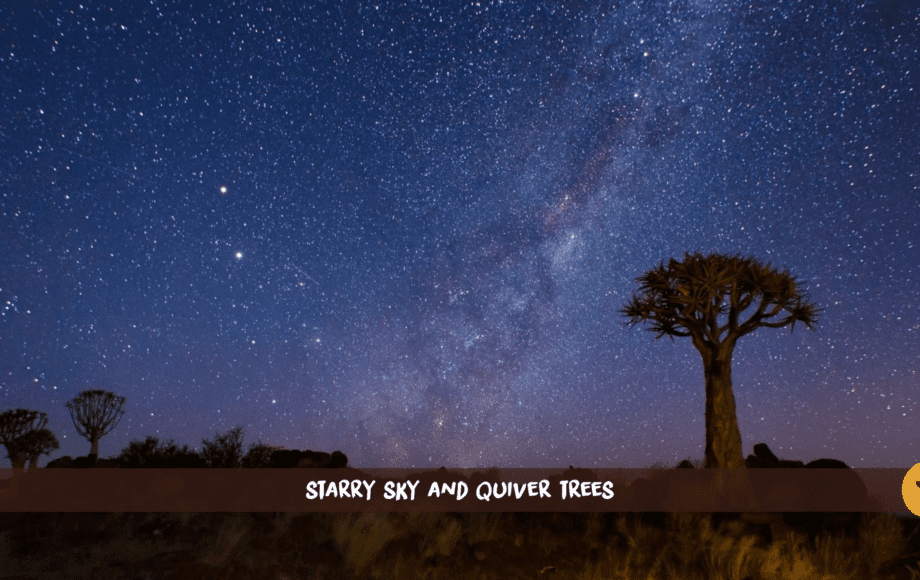 Namibian Night sky with the Milky Way with quiver trees in front