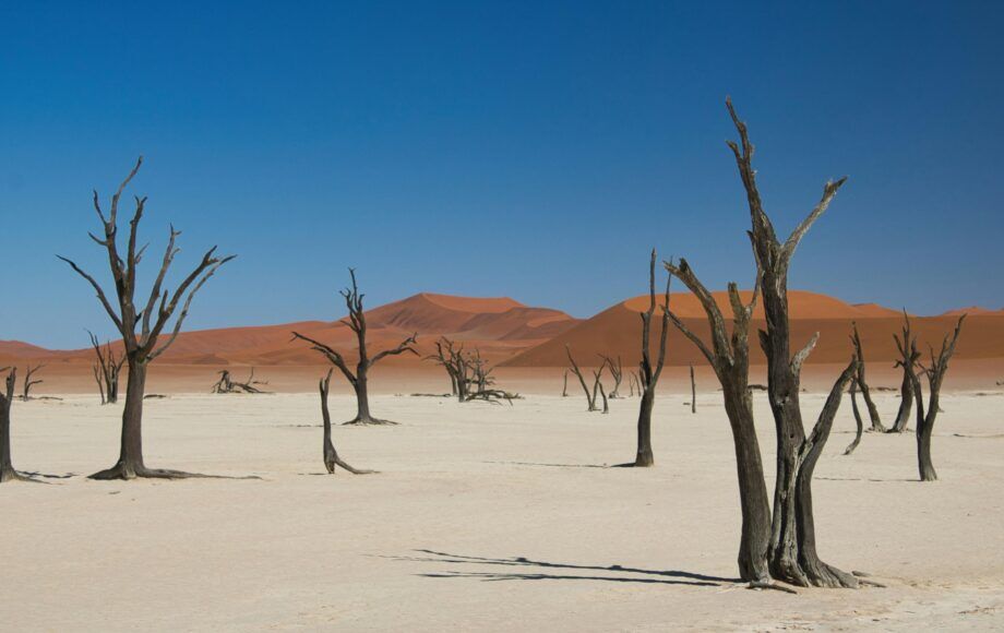 Sossusvlei in Namibië