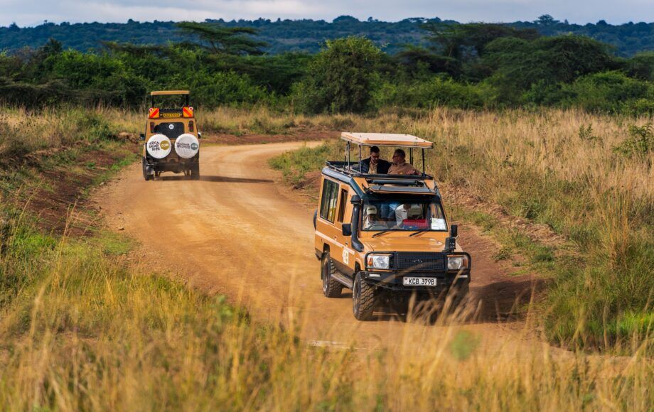 Jeepsafari met Afrika Safari