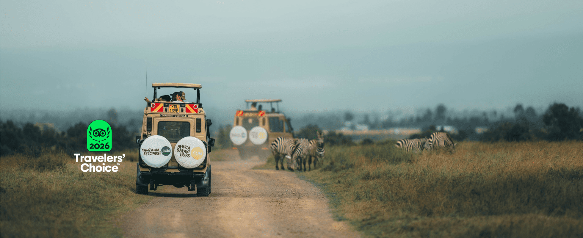 Twee safari-jeeps rijden door de savanne van Tanzania terwijl zebra’s langs de weg grazen.