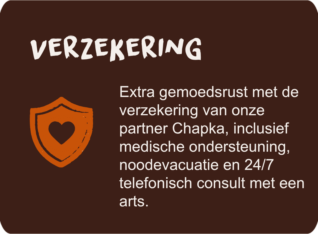 Travel and medical insurance