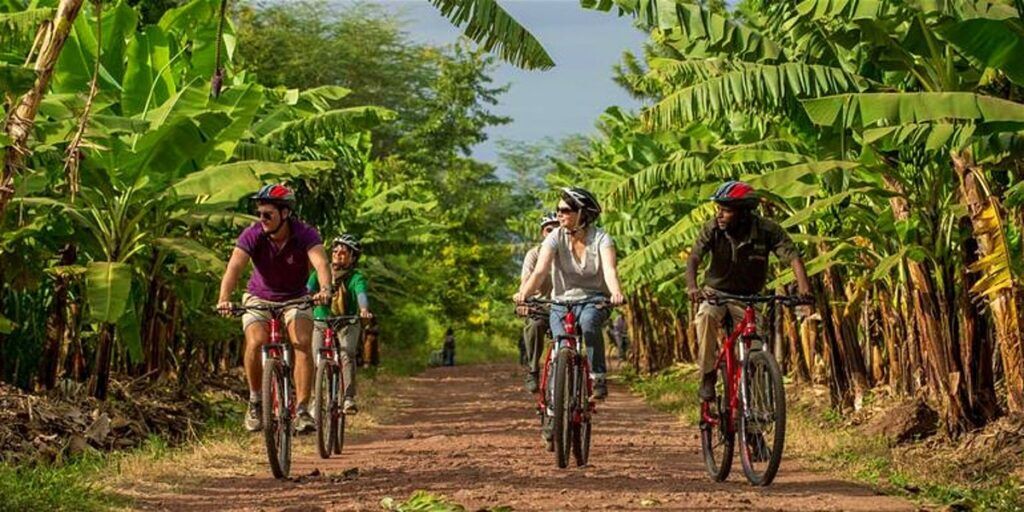 Mountainbike safari in de groene weelderige natuur