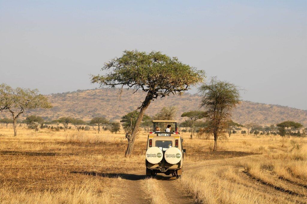 Afrika safari jeep