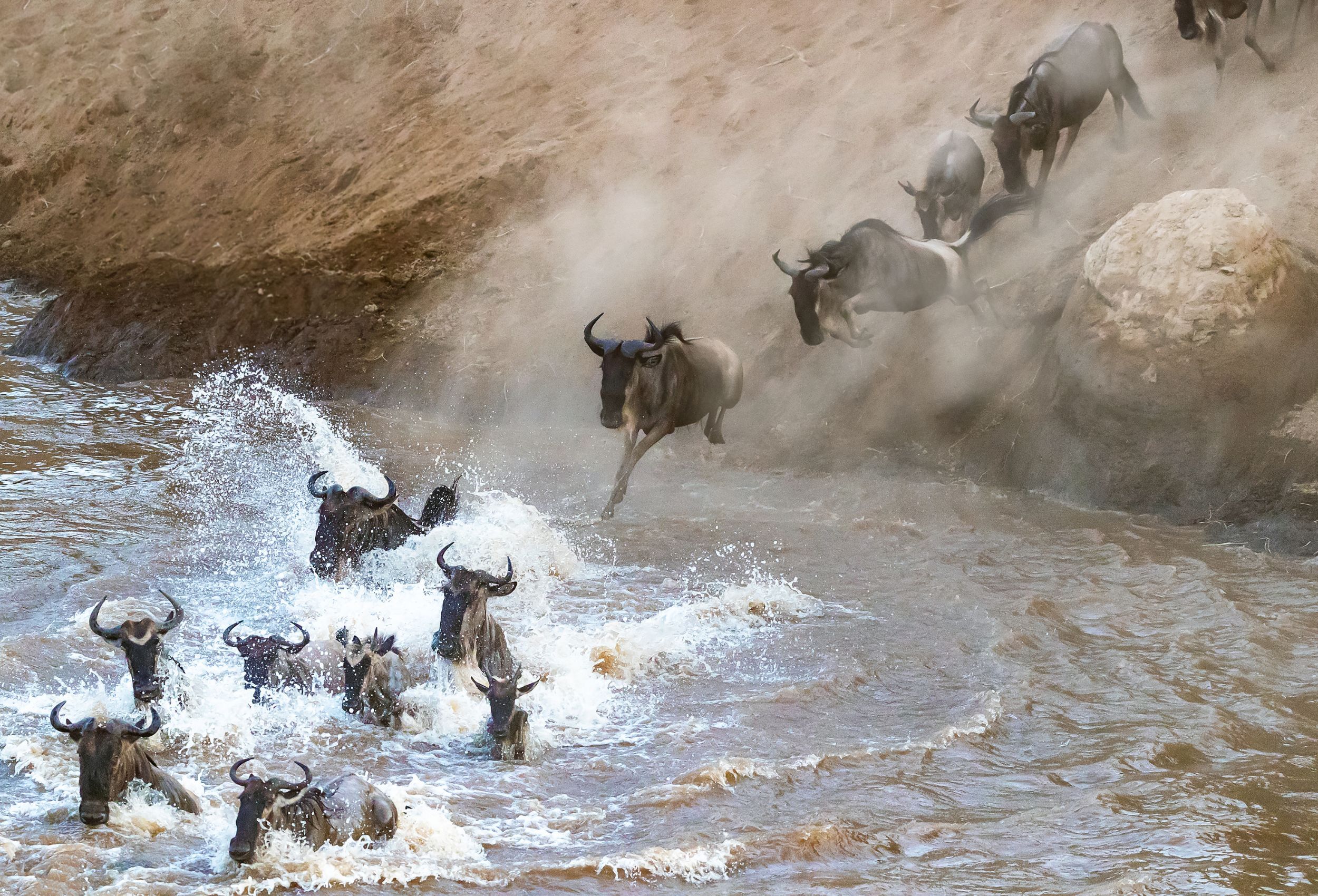 Grote trek masai mara