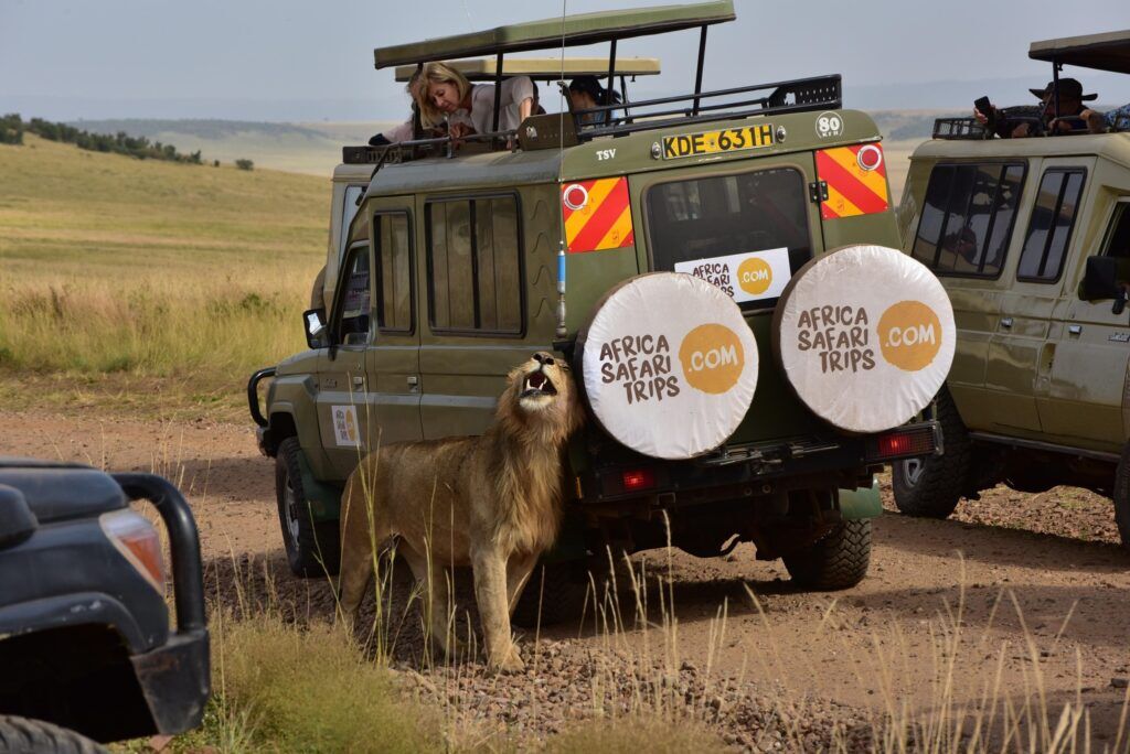 Kenia vakantie jeep