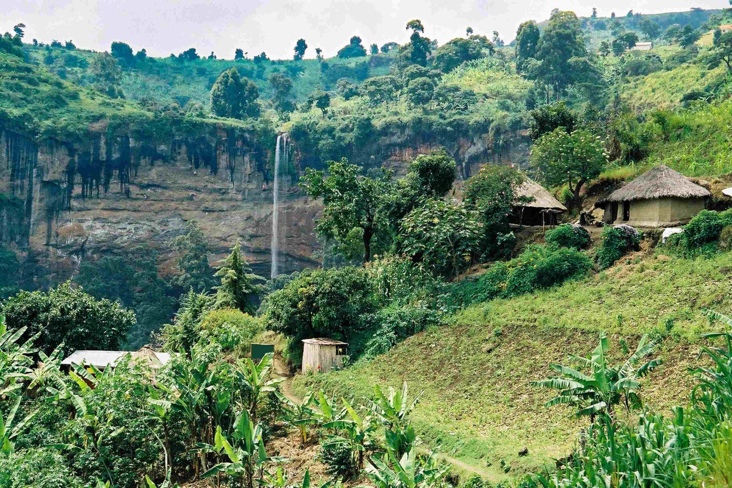 Wandel naar de watervallen van Sipi Falls