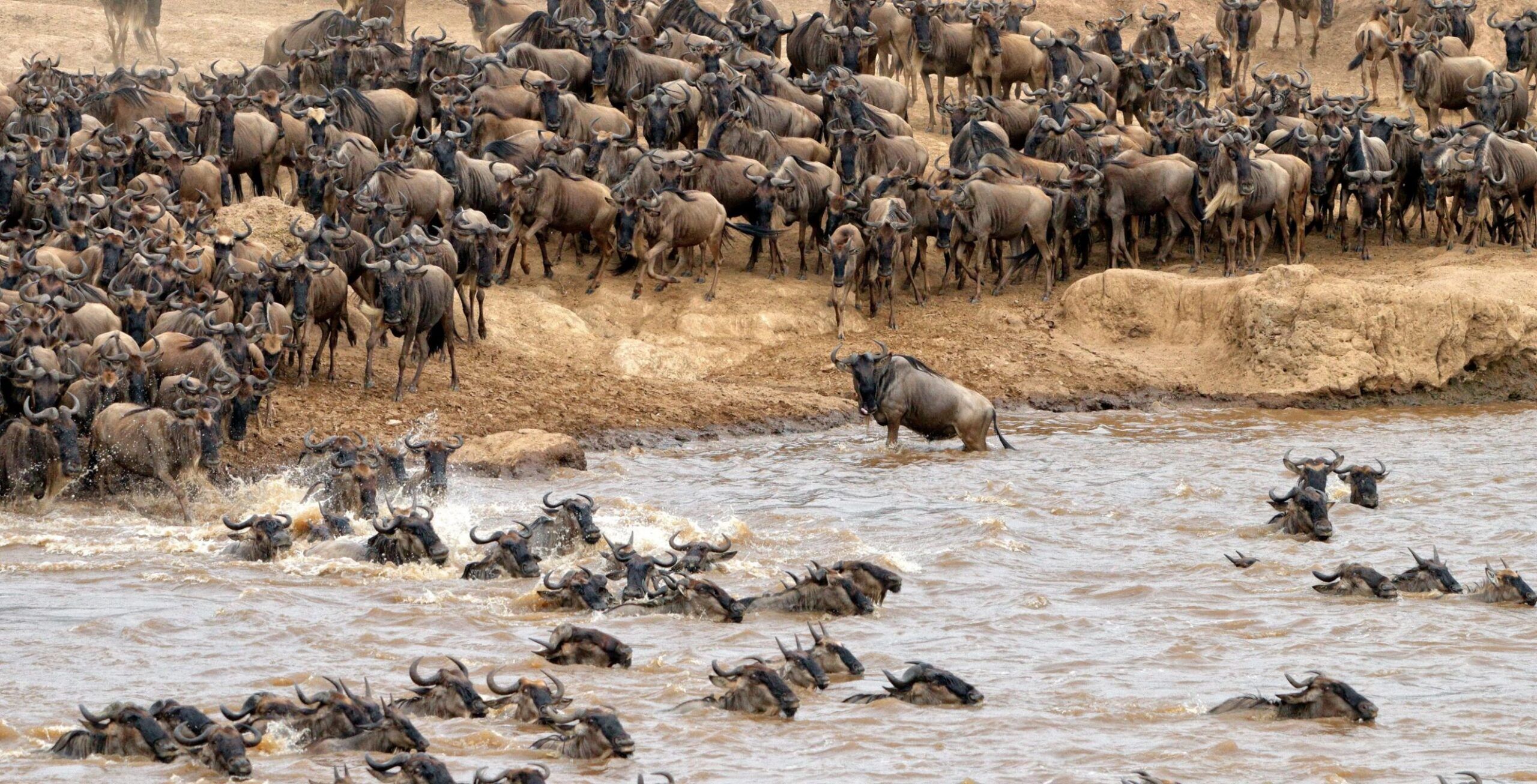 Masai Mara National Reserve