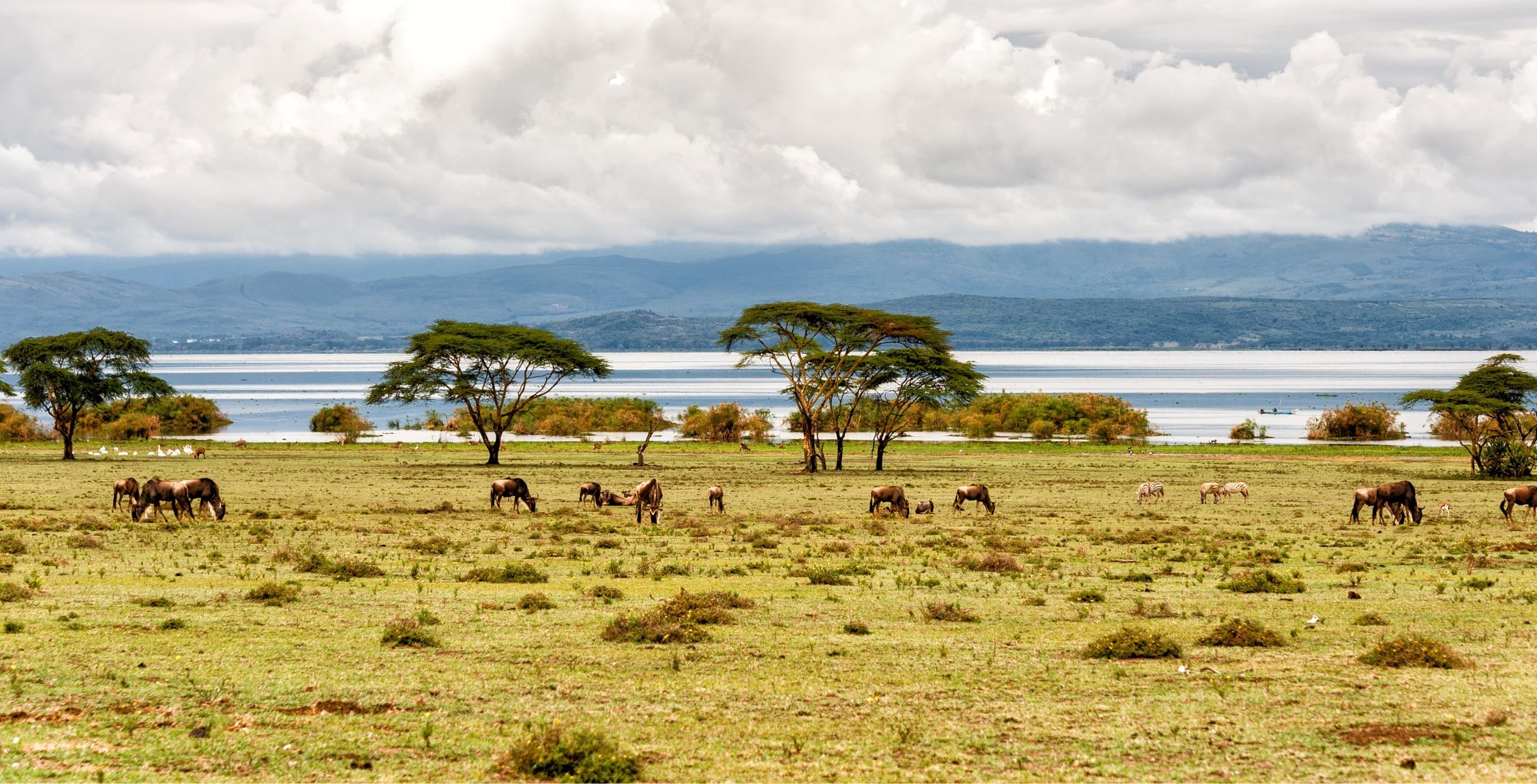 Rit van Solio Conservancy naar Lake Naivasha