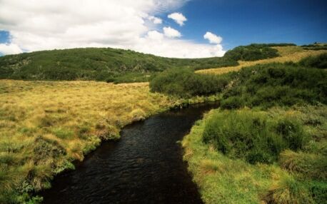 Aberdare National Park