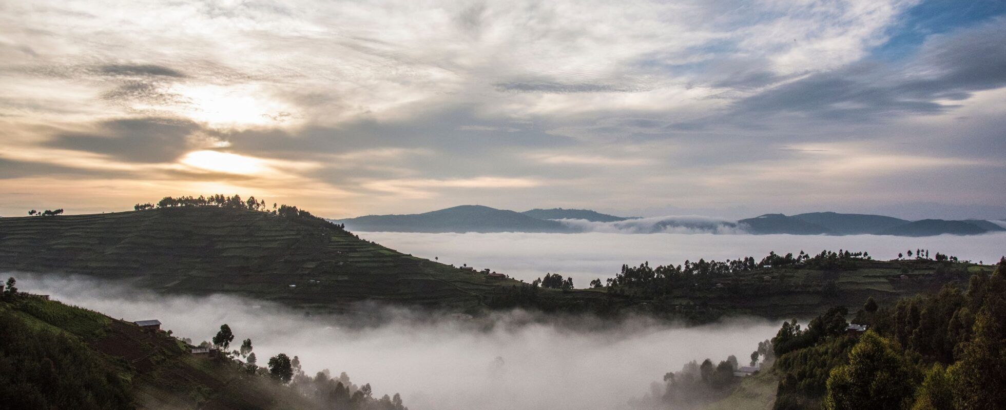 Bwindi Impenetrable National Park