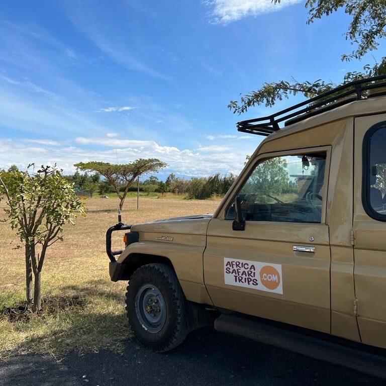 Afrika Safari Jeep