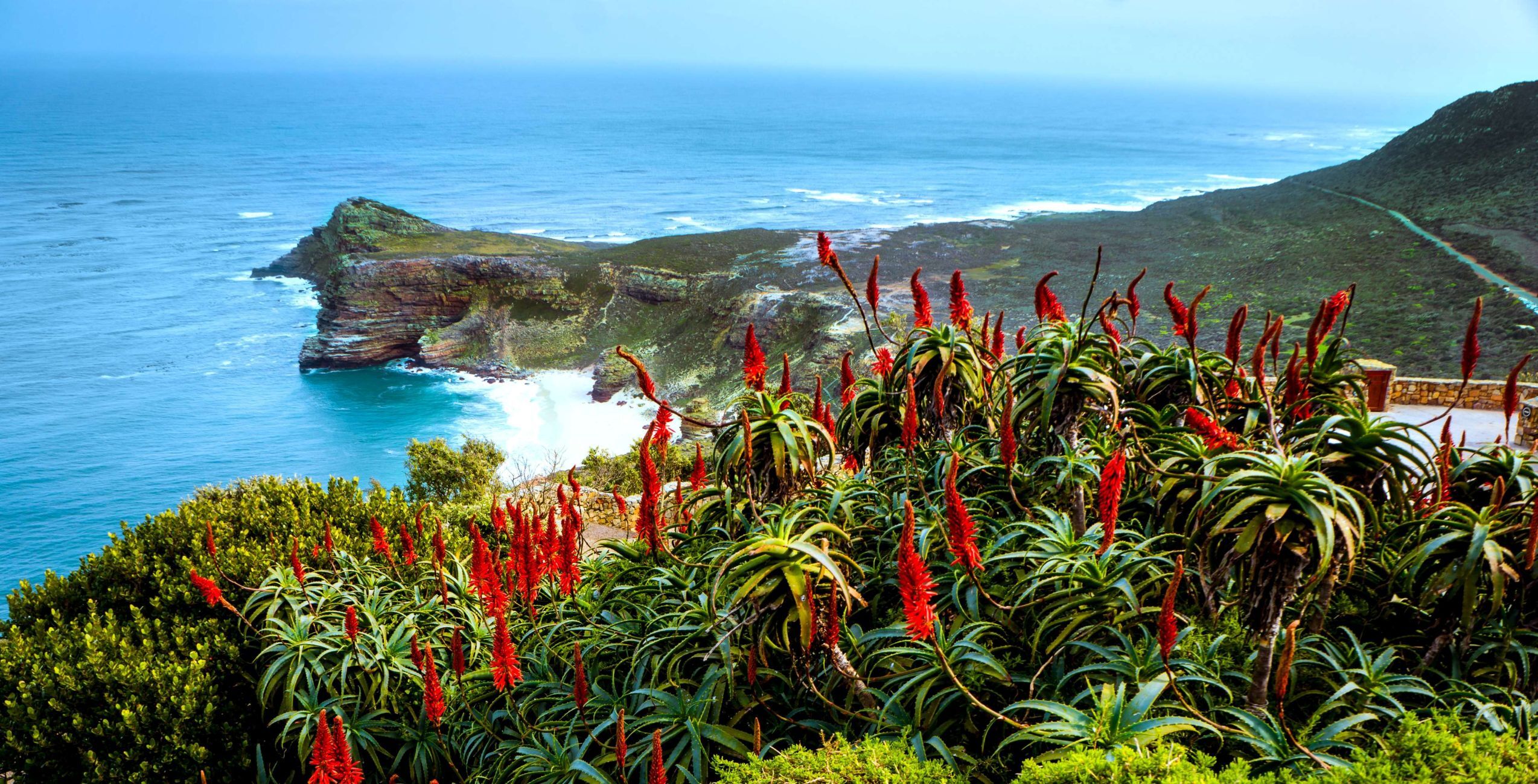 Bezoek het Cape of Good Hope en Cape Point gedeelte van Table Mountain National Park