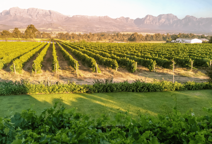 Paarl - historische charme en wijnervaring