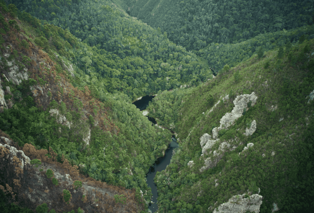 South-Africa_Images-for-Landing-Pages-18