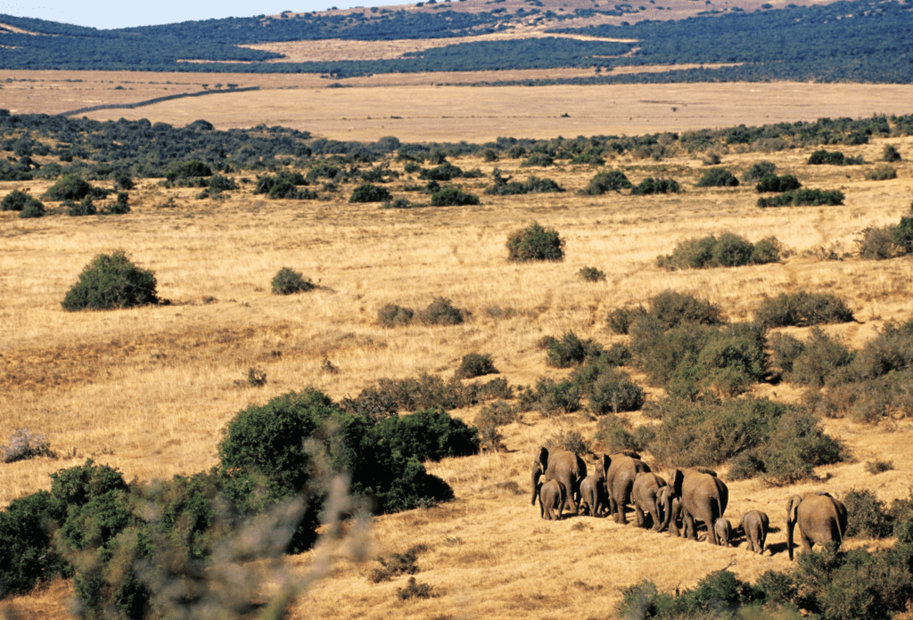 Landschappen van de Oostkaap, Zuid-Afrika