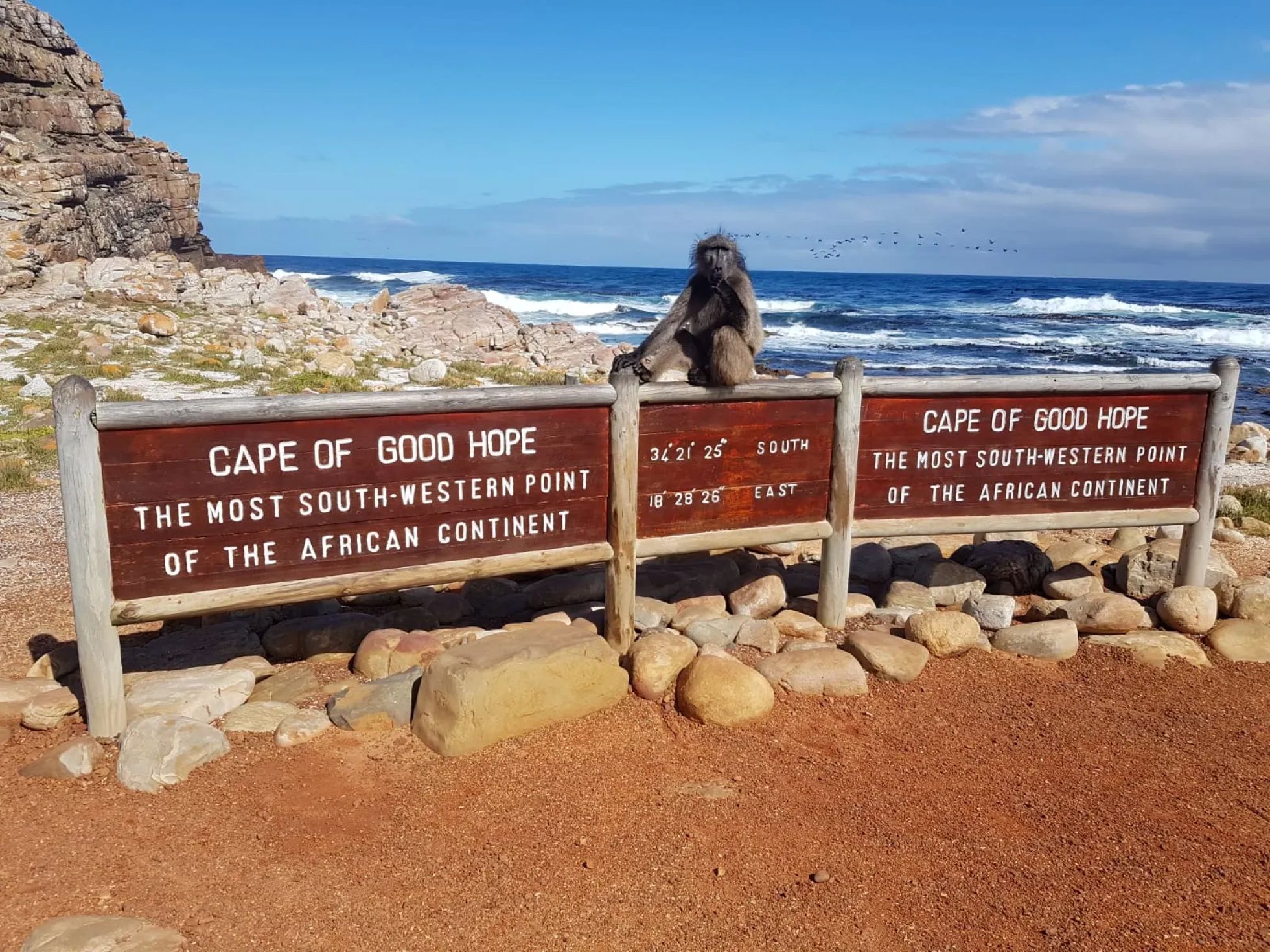 Kaap de Goede Hoop, Cape Point en Afrikaanse pinguïns