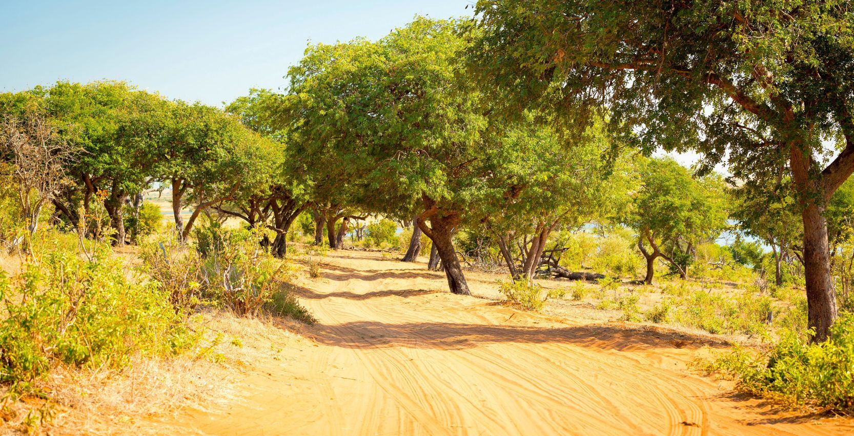 Drive from Chobe Riverfront to Kasane