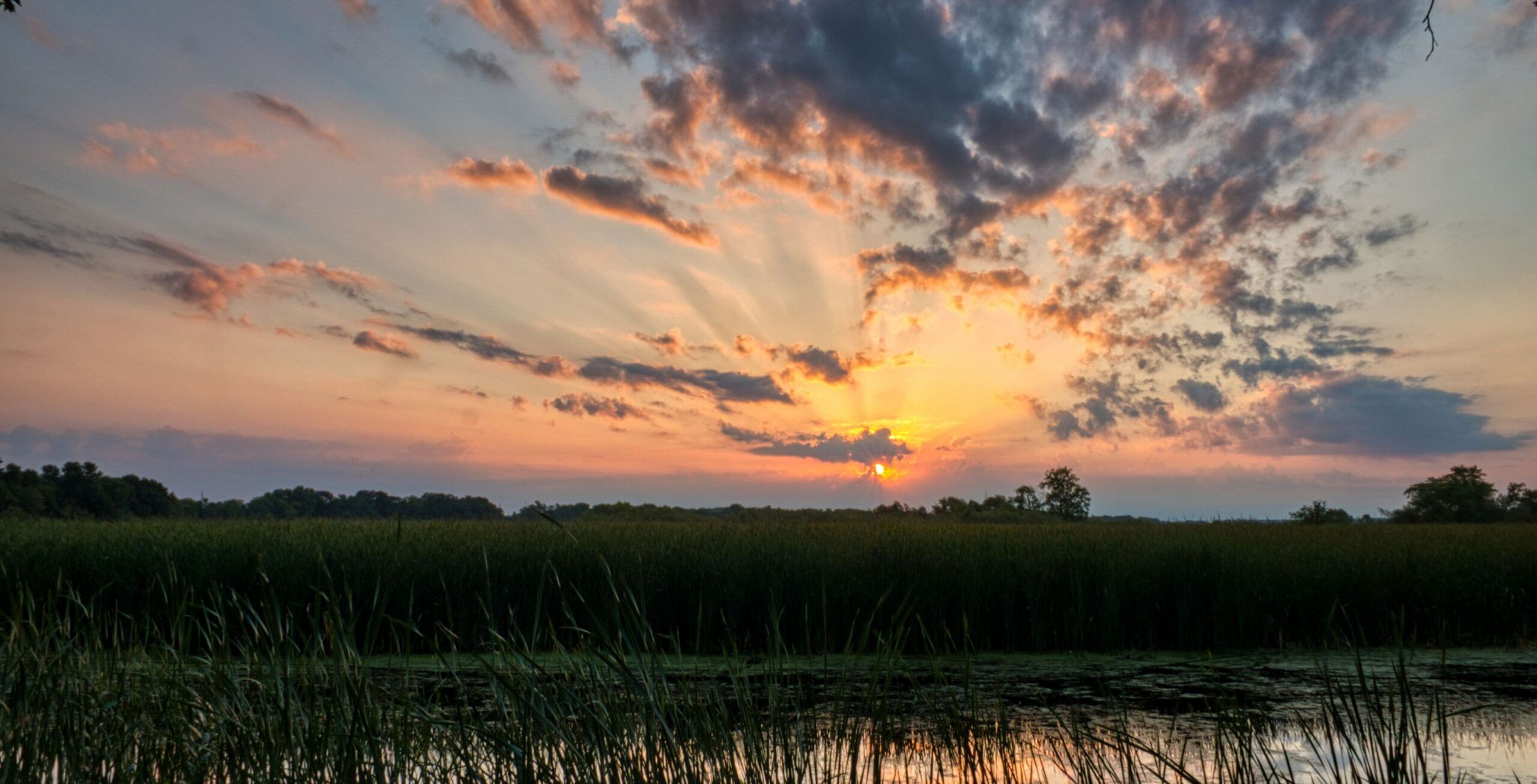 Vlucht van Khwai Community Concession naar Savuti Marsh