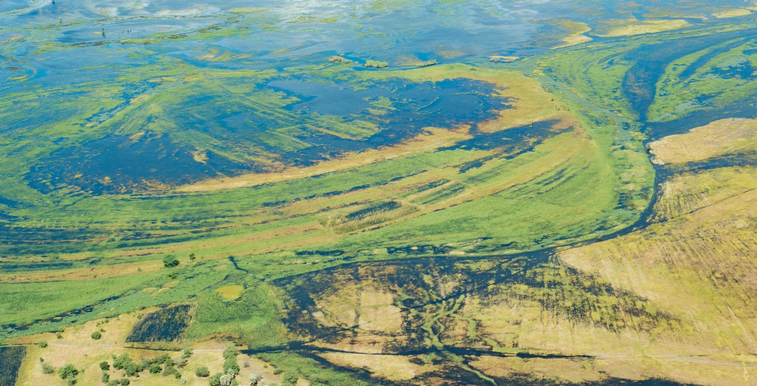 Vlucht van Savuti Marsh naar Kasane