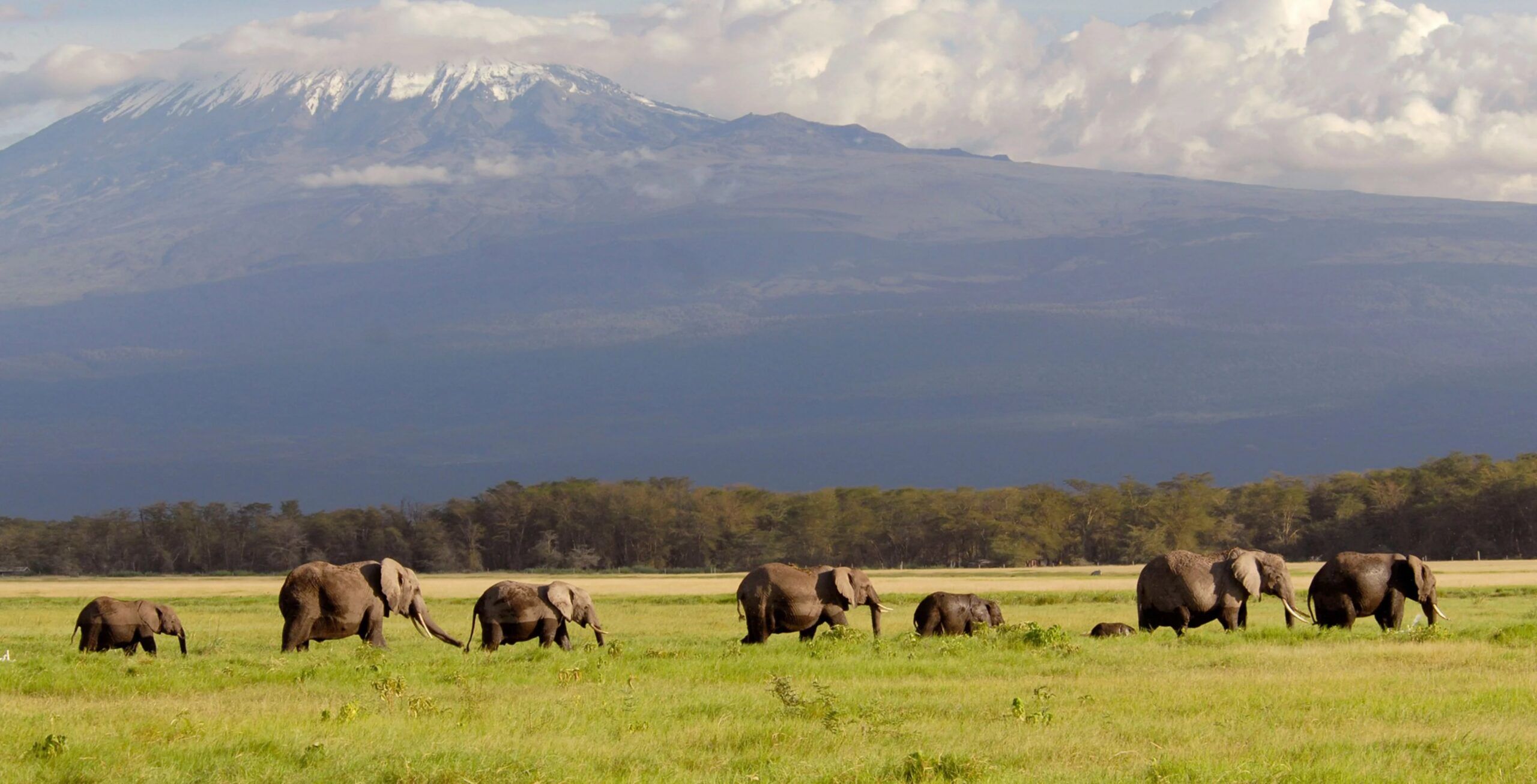 Amboseli National Park