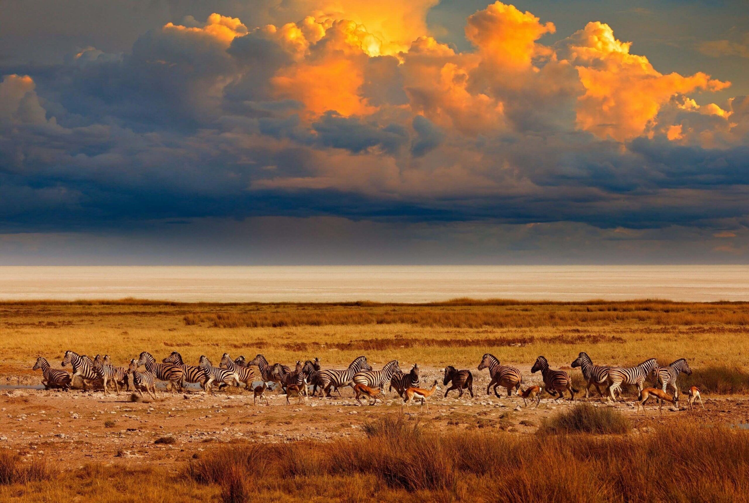 Etosha National Park
