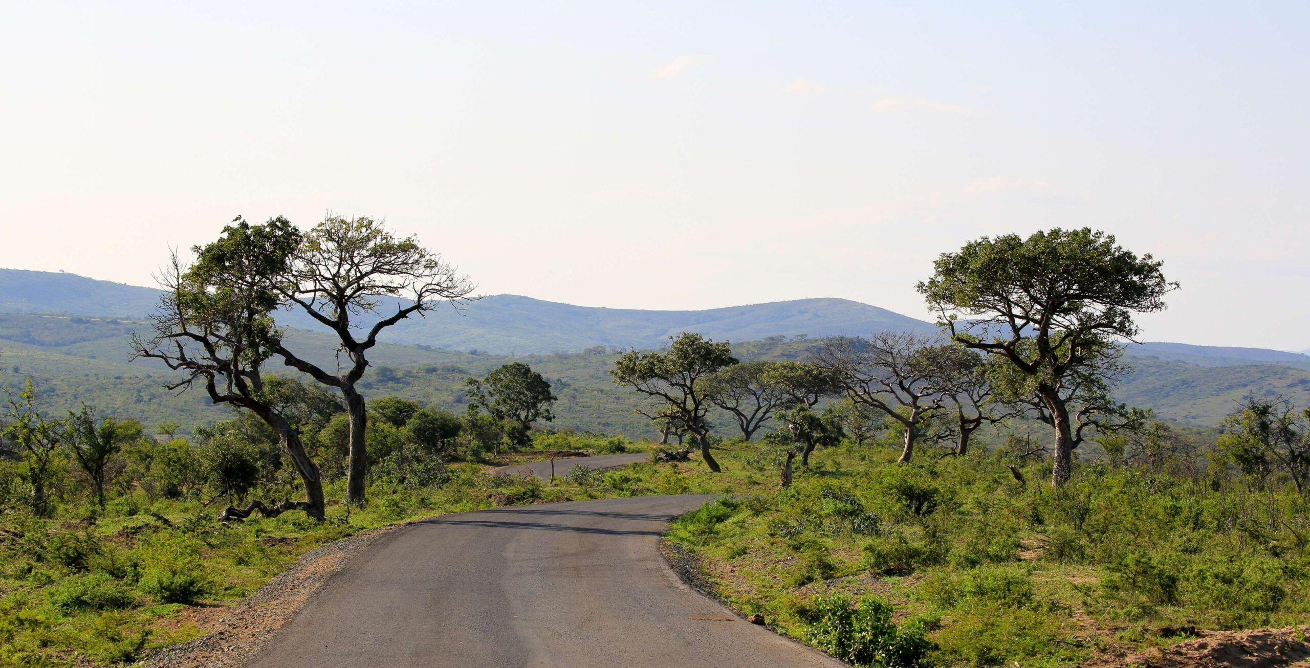 Rit van de zuidelijke Drakensbergen naar Hluhluwe-iMfolozi Game Reserve