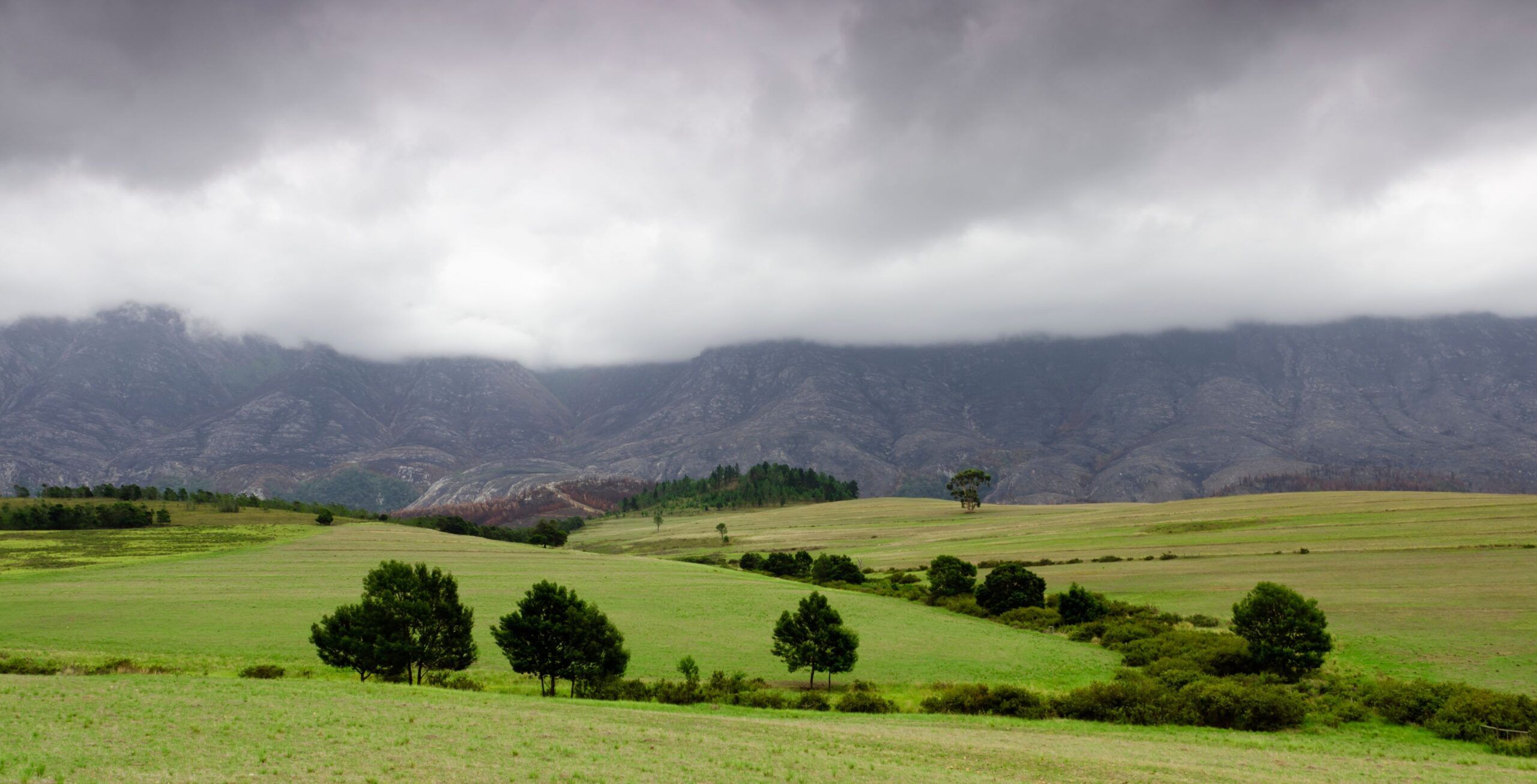 Rit van Kaapstad naar Swellendam