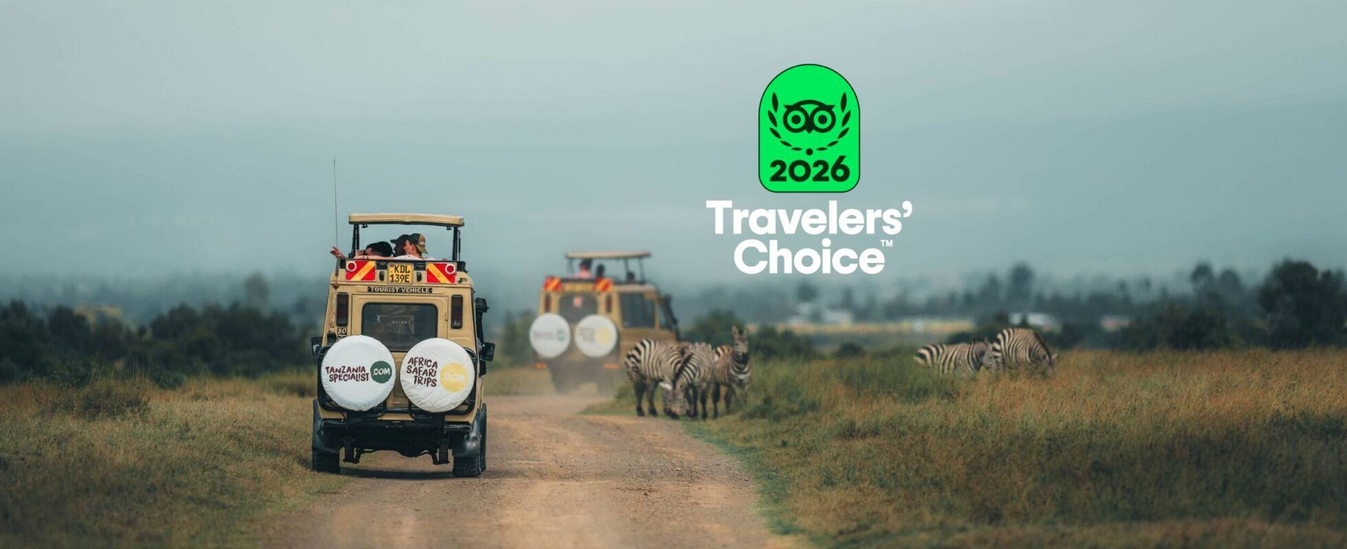 Twee safari-jeeps rijden door de savanne van Tanzania terwijl zebra’s langs de weg grazen.