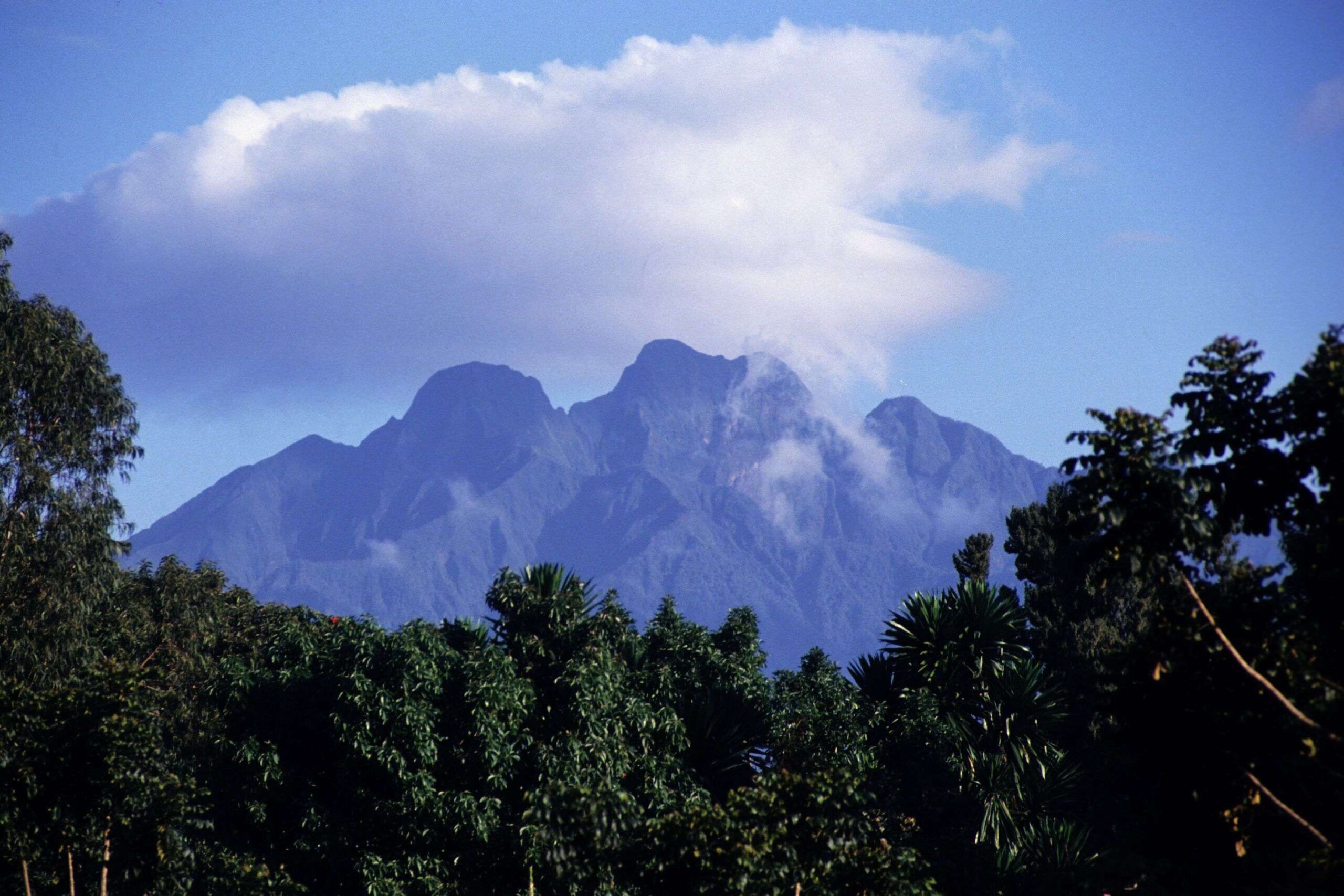 Bergwandeling op de Sabinyo vulkaan in het Mgahinga Gorilla National Park